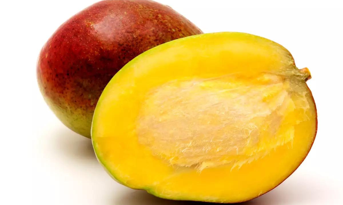 Benefits Of Mango Seeds