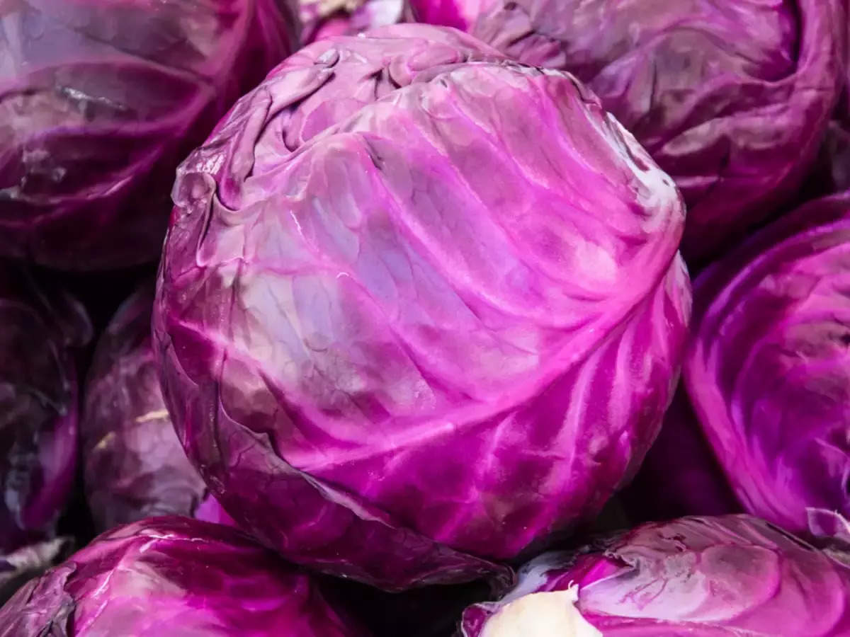 Purple Cabbage Benefits.