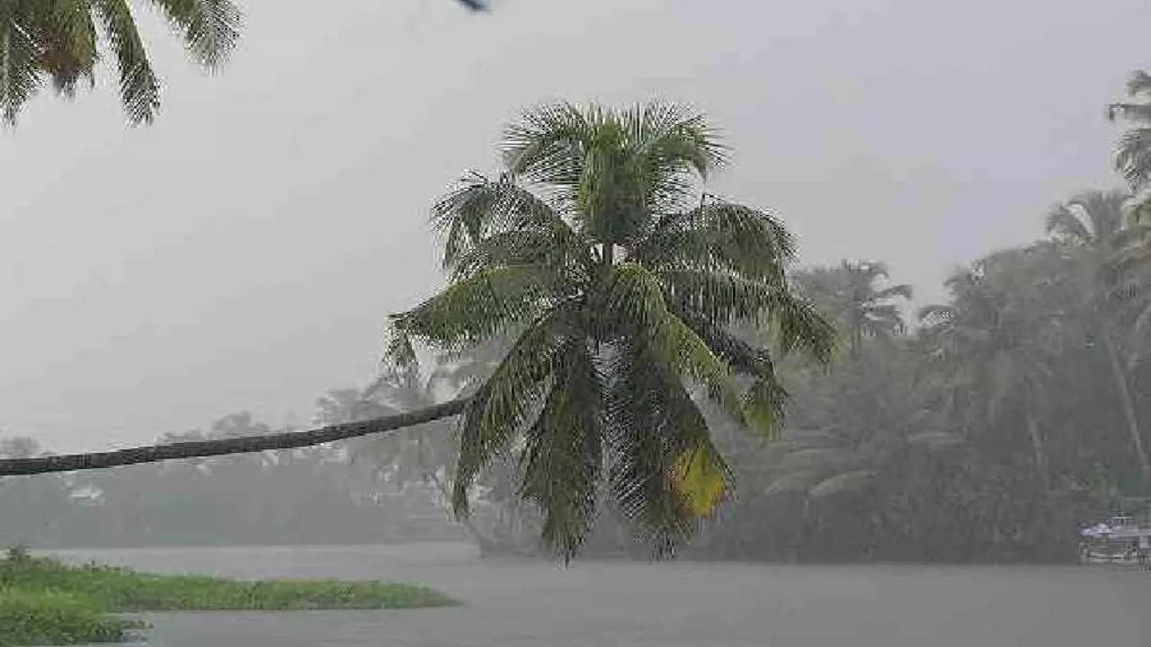 Monsoon 2023 Date, monsoon 2023 date, monsoon Alert, imd, rainfall, weather updates