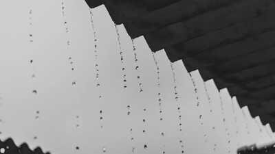 Maharashtra Rain Alert 3