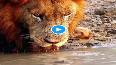 VIRAL VIDEO