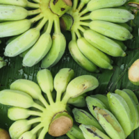 Raw Banana Benefits  5       