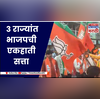 BJP Win Vidhansabha Election 3