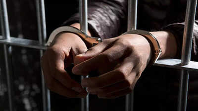 Crime News 4