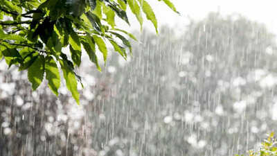 Maharashtra Weather 24